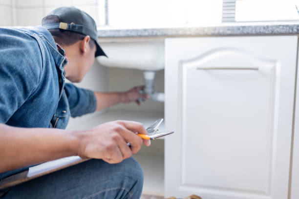 Best Affordable Plumbing Services  in Storm Lake, IA